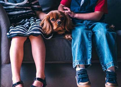 Les races de chiens idéales pour les enfants