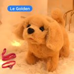chien interactif