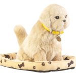 chien interactif