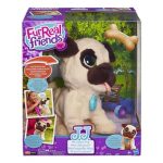 chien interactif