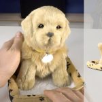 chien interactif