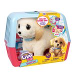 chien interactif