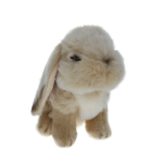 peluche lapin