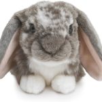 peluche lapin