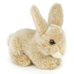 peluche lapin